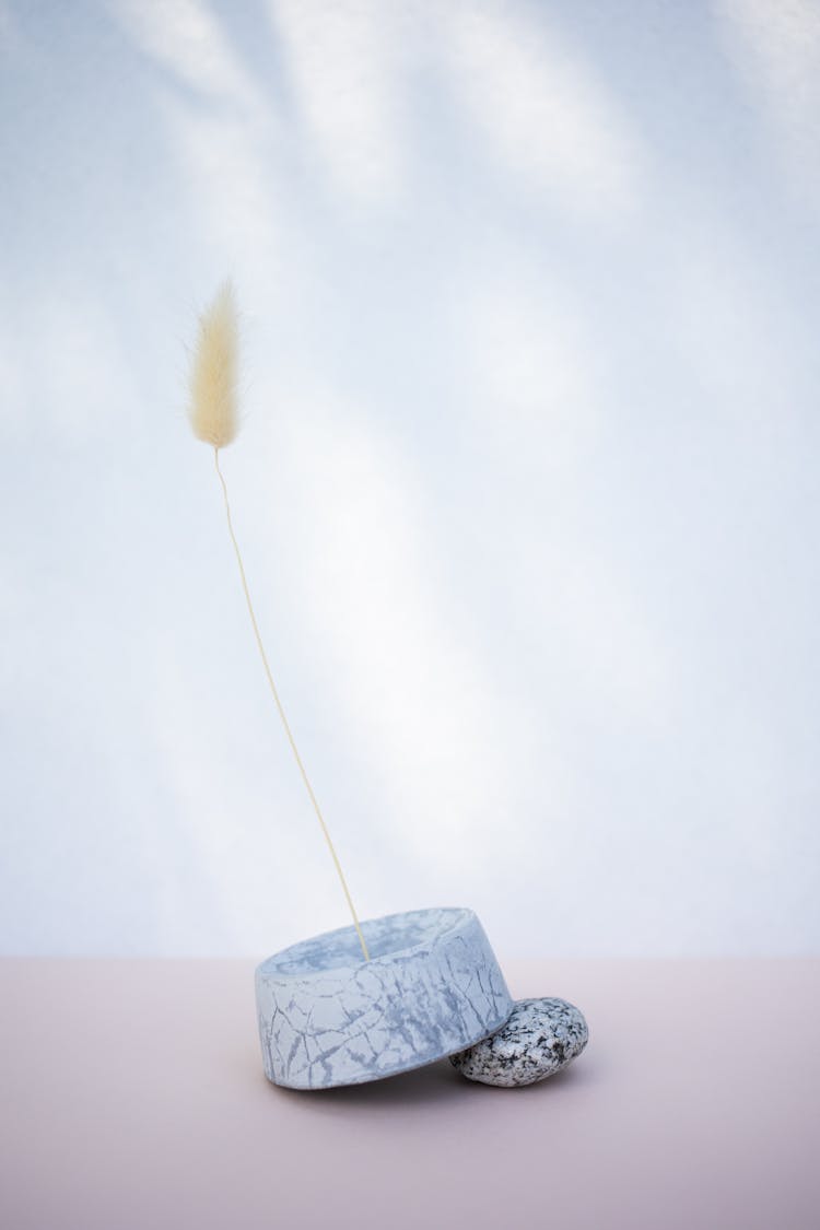 A Grass Flower Inserted On A Round Stand