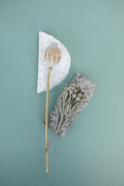 A minimalistic arrangement of dried flowers on textured surfaces against a pastel green background.