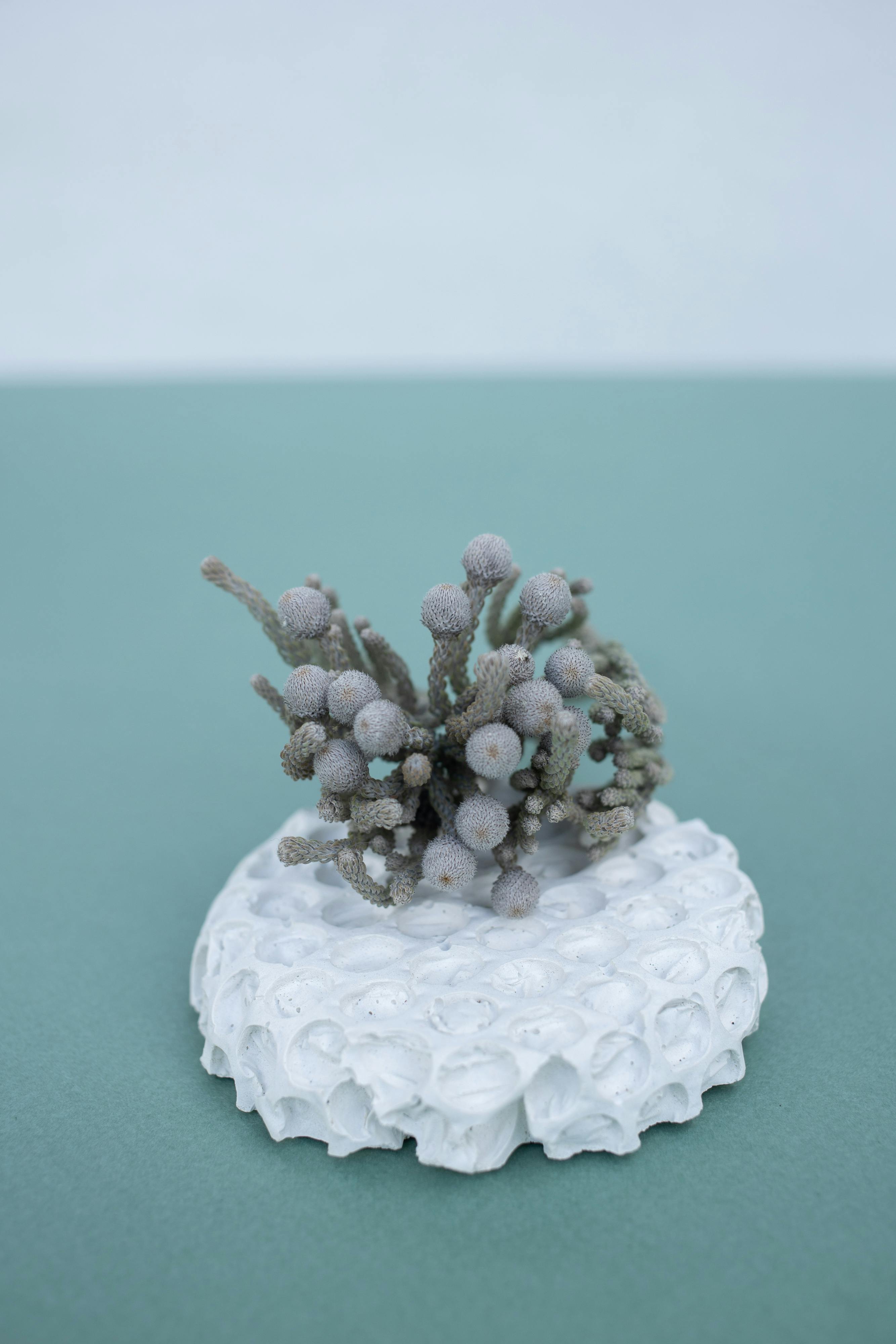 Handmade Art Sculpture · Free Stock Photo