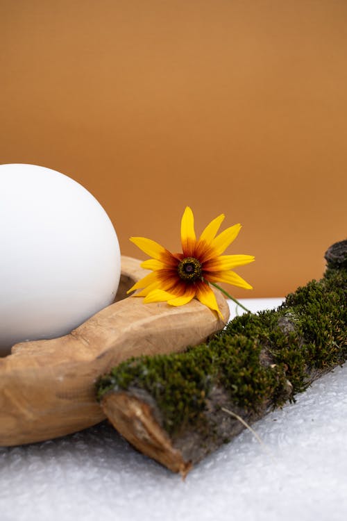 A Yellow Flower on Brown Concrete Tray