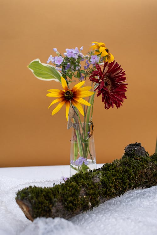 無料 透明なガラスの花瓶の黄色と赤の花 写真素材