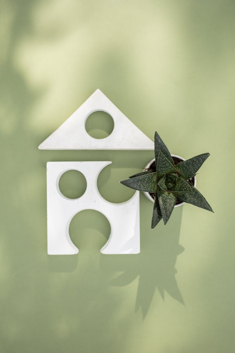 Abstract Photo Of Succulent And Home Shaped Blocks