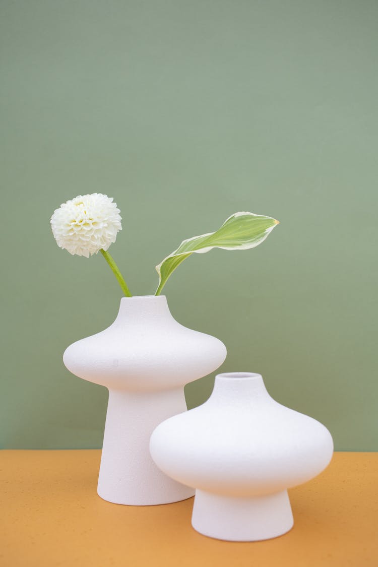 Modern Decoration With Flower And Vases