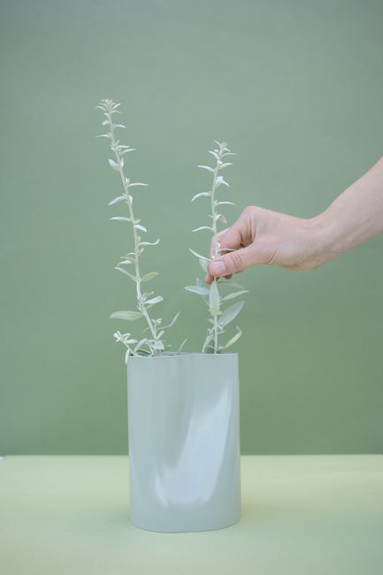 A hand delicately holds a plant in a pastel vase against a green backdrop, emphasizing minimalist decor.
