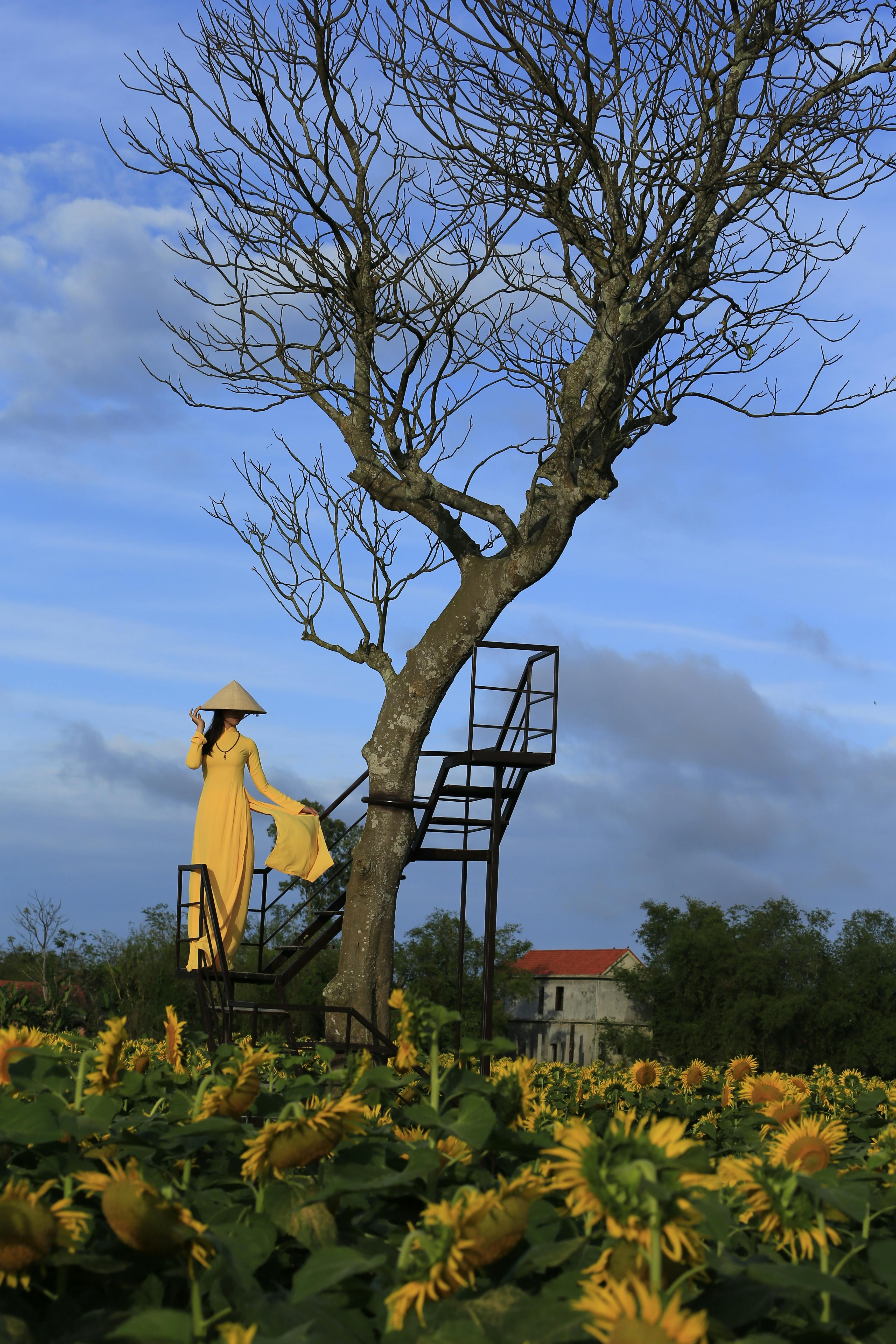 a woman in an ao dai on a staircase in a sunflower field