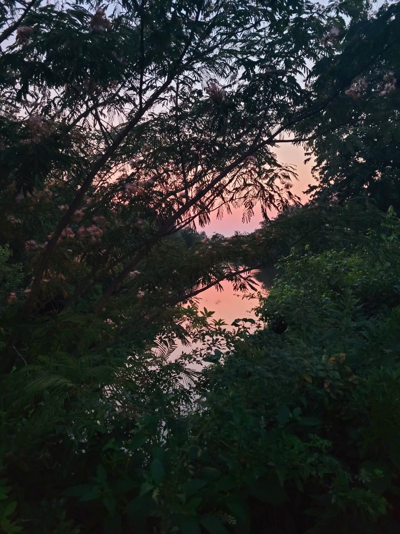 Bolaven Plateau Loop — Coffee, Waterfalls and Ethnic Villages