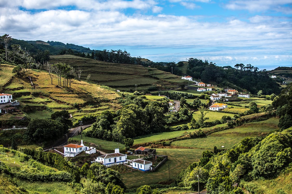 Maisons Blanches Et Grises Près Des Arbres