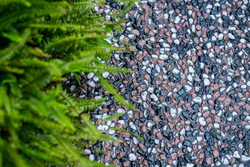 Free stock photo of sidewalk