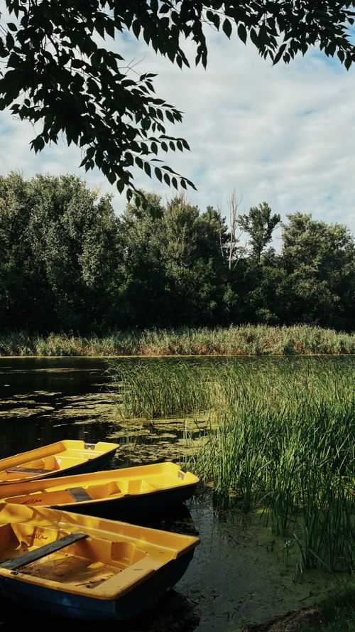 Free Serene scene of yellow boats on a lush lakeside in Ukraine's summer. Stock Photo