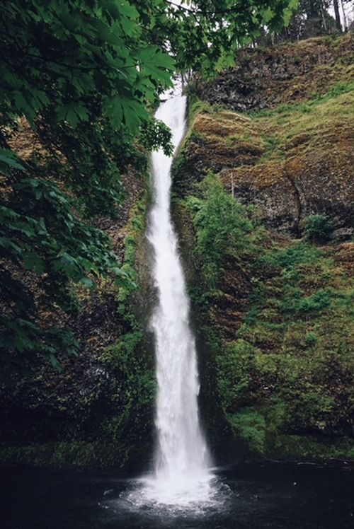 Free A breathtaking waterfall cascading down a mossy cliff in Wenatchee, Washington. Stock Photo