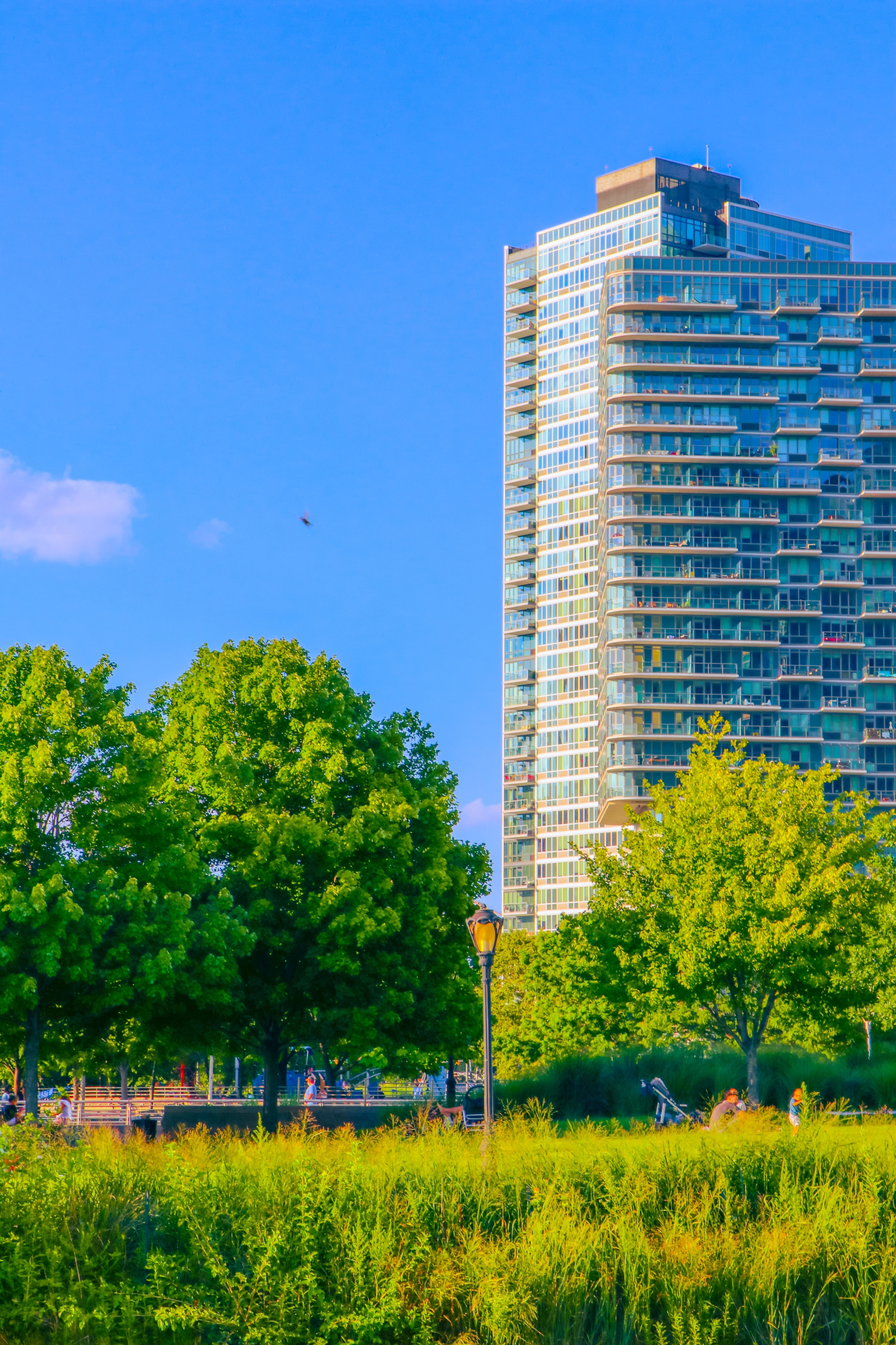 Green Trees Near High Rise Building · Free Stock Photo