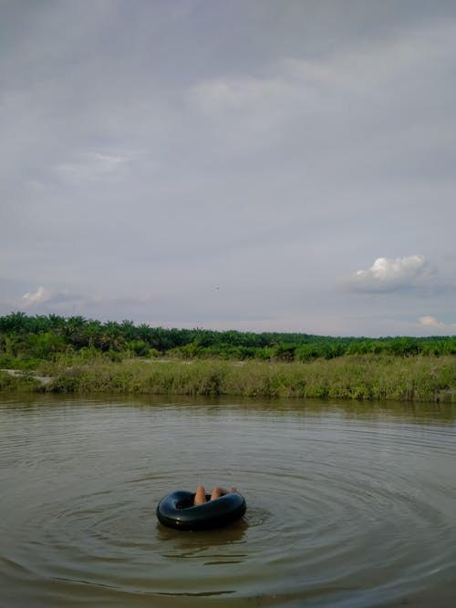 A Person Swimming in the Pond