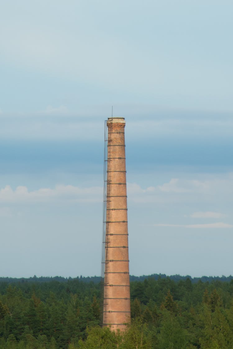 Smoke Stack In Middle Of A Forest