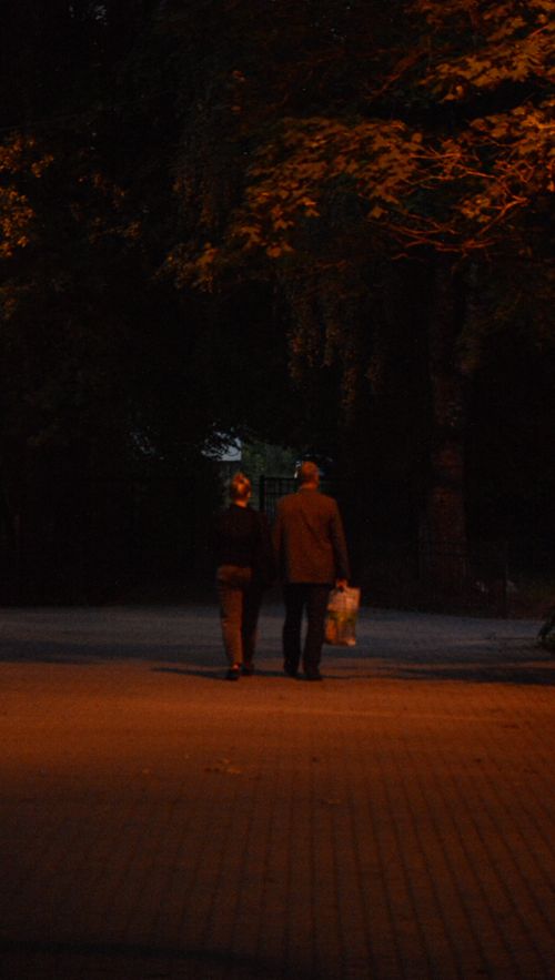 Free stock photo of couple in love, defocused, evening Stock Photo