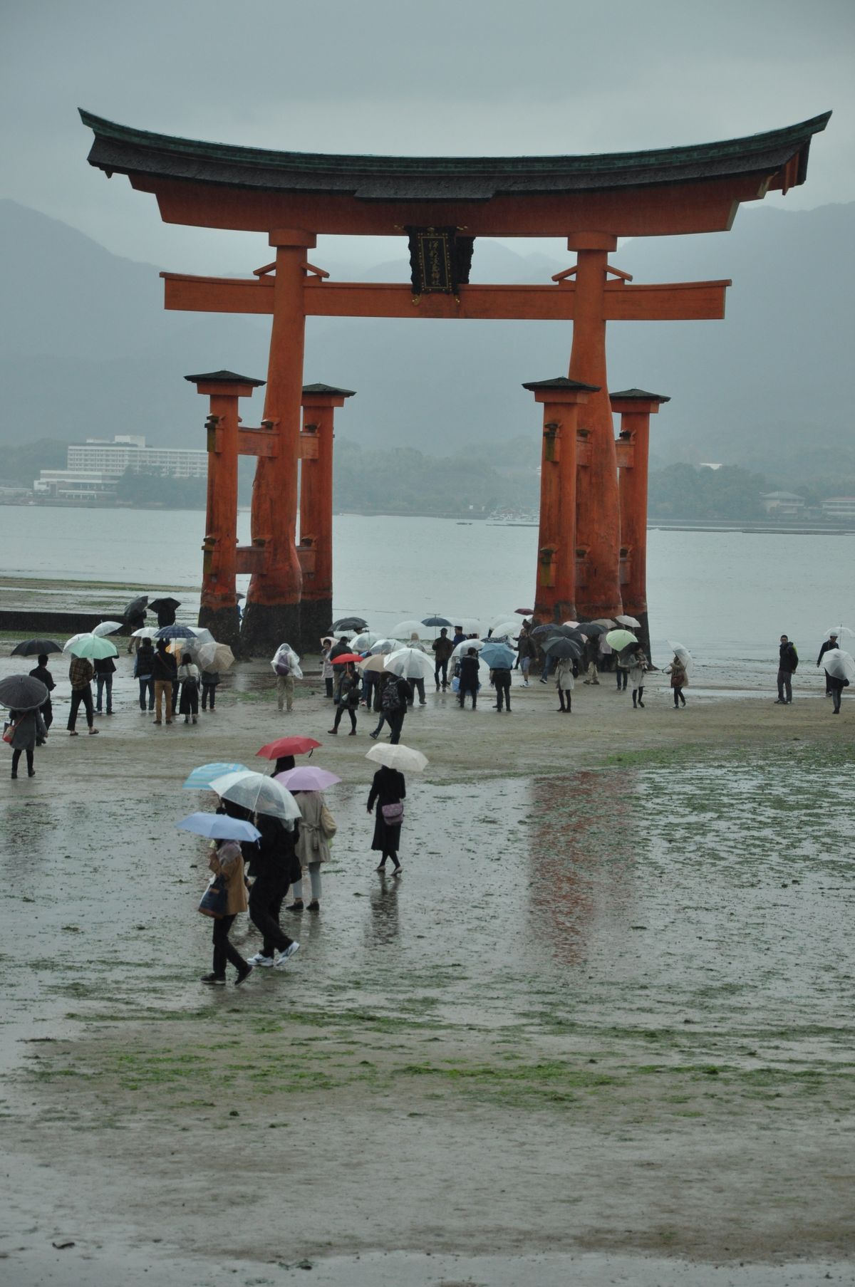 Visitors with umbrellas near the floating torii gate at Itsukushima Shrine, Miyajima