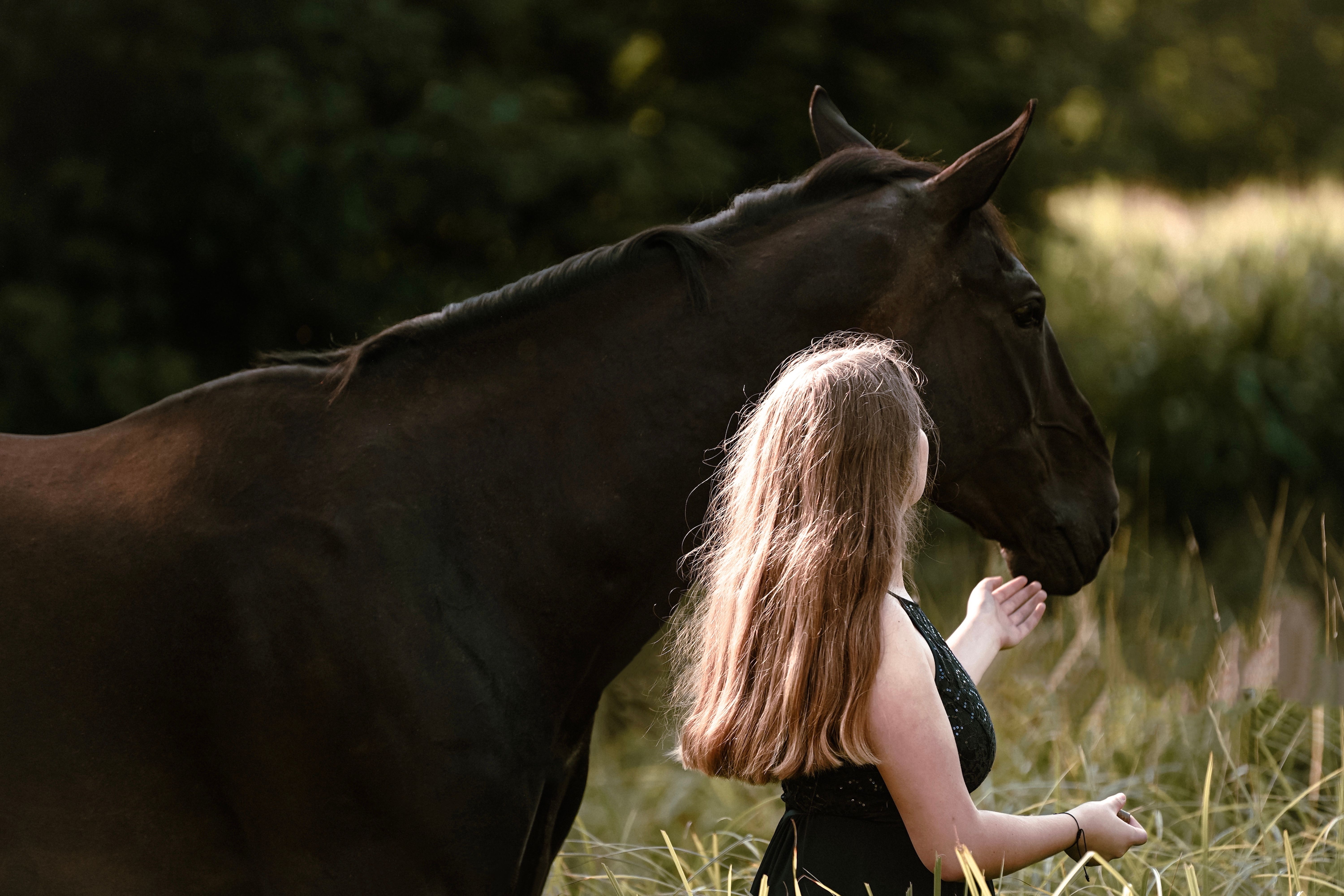 Woman Standing Beside a Brown Horse · Free Stock Photo
