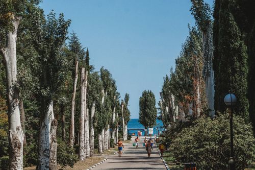 Free Scenic tree-lined walkway with people walking towards the beach in Krasnodar, Russia. Stock Photo