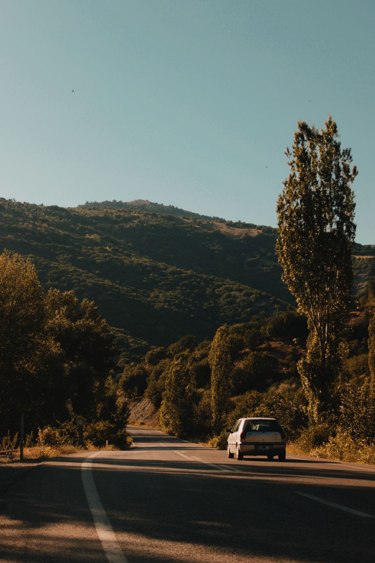 Car travelling on a scenic road