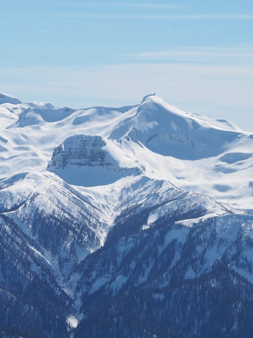 Imagine de stoc gratuită din acoperit de zăpadă, fotografiere verticală, iarnă