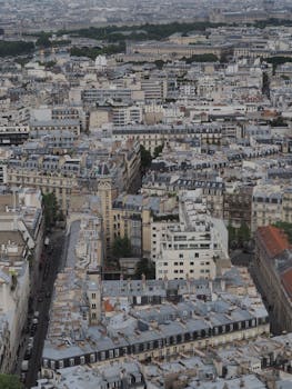 Panoramic aerial view of Paris showcasing iconic rooftops and urban landscape in a timeless scene.