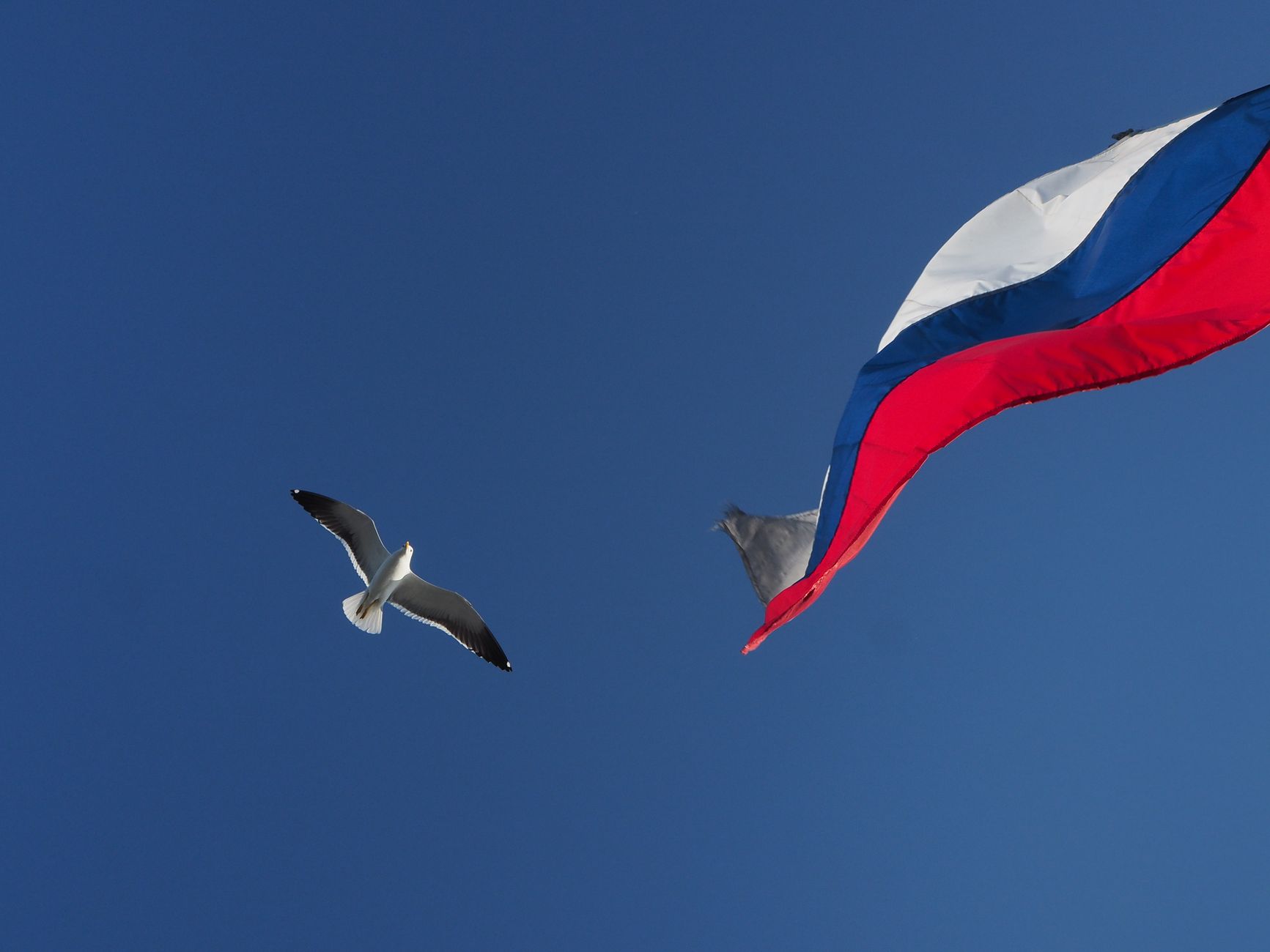 Russia finds zero evidence Iran nuclear weapons, warns arms race.