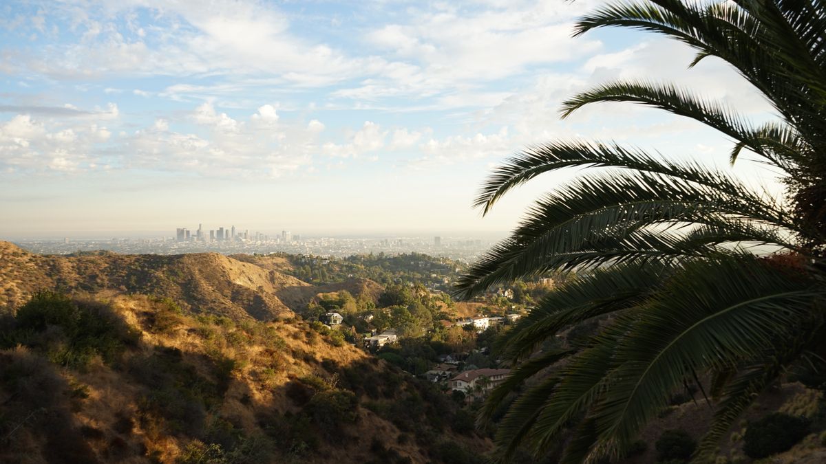 Mobile app development in Los Angeles