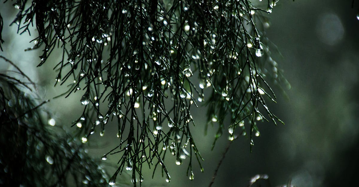 財經:豪雨季節潮濕難耐,專家教你5大妙招與3款必備除濕小物
