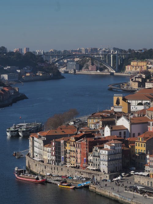 Aerial View of City Buildings Near Body of Water