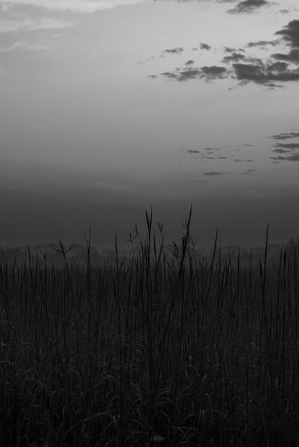 A tranquil black and white image of a grass field at dusk, showcasing a calming sky.