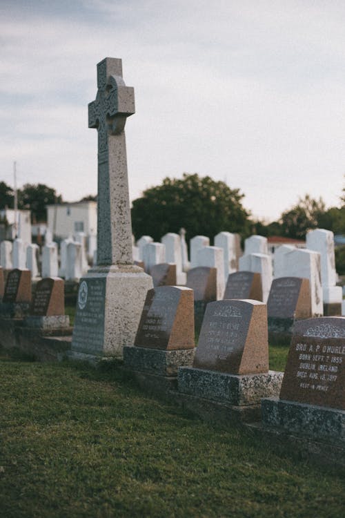 Free Photo of Tombstones in Cemetery Stock Photo