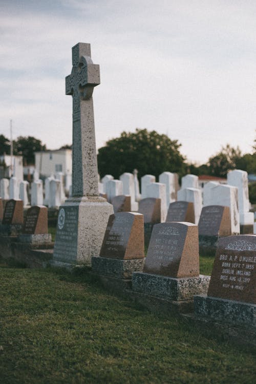 Foto d'estoc gratuïta de cementiri, enterrament, funeral