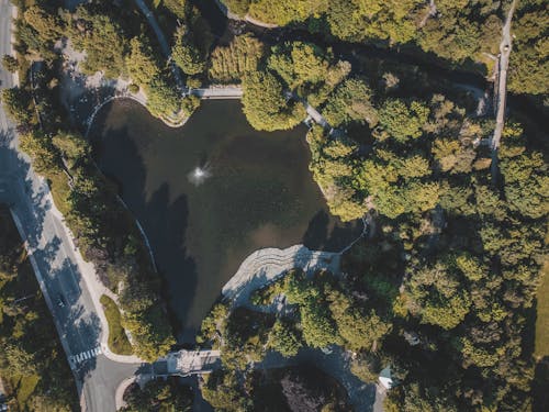 Gratis lagerfoto af dam, droneoptagelse, fugleperspektiv