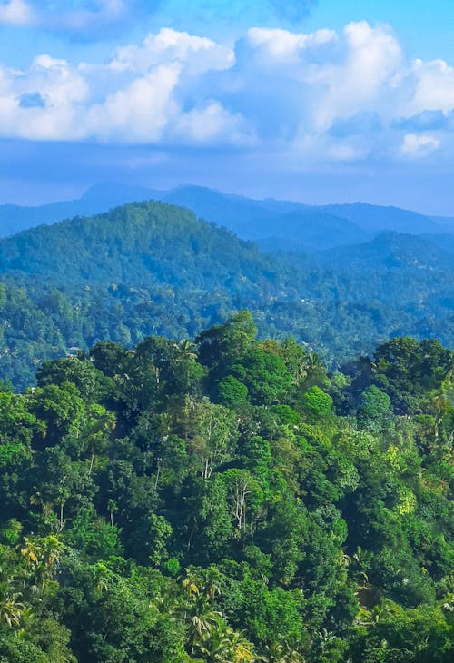 Free Kostnadsfri bild av Asien, blå berg, djungel Stock Photo
