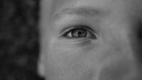 Free stock photo of beautiful eyes, black and white, blue eye