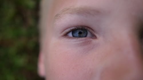 Free stock photo of blue eye, boy, child Stock Photo