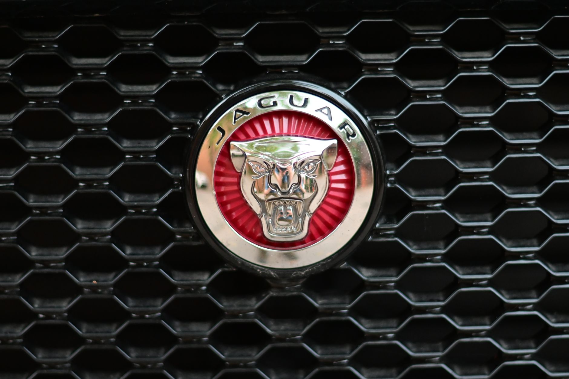 Detailed shot of the Jaguar logo on a car grille. Perfect for automotive themes.
