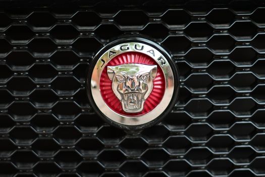 Detailed shot of the Jaguar logo on a car grille. Perfect for automotive themes.