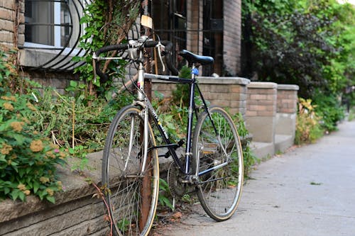 Kostnadsfri bild av anläggning, cykel, gata