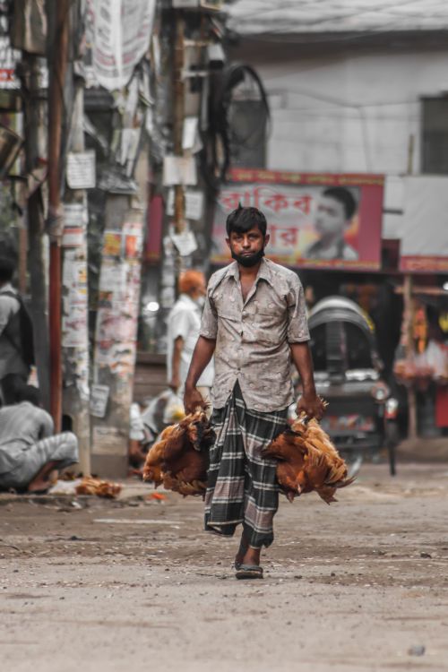 Free A man carrying chickens in a lively market scene, capturing the essence of everyday life. Stock Photo