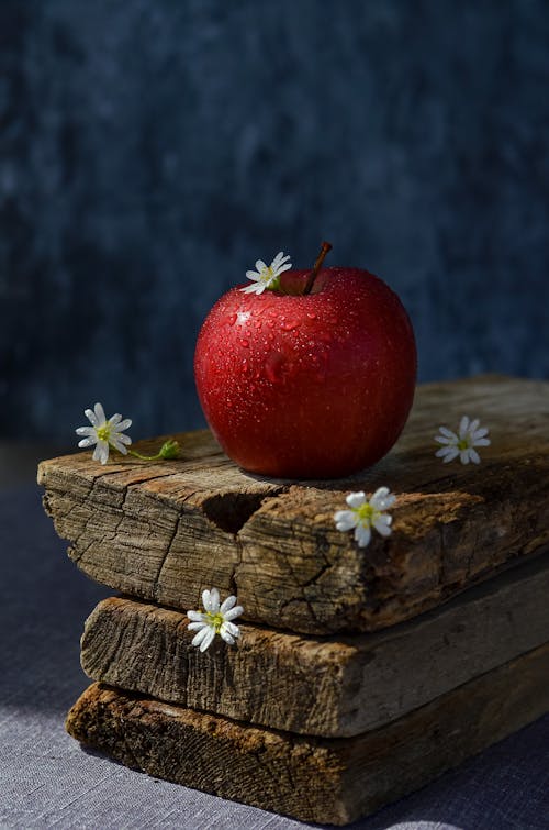 Red Apple on Brown Wooden Log