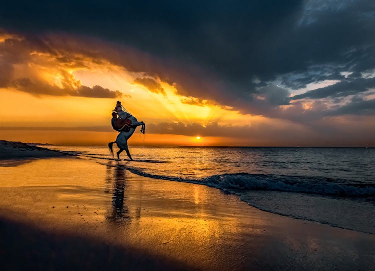 Man Riding A Horse On The Beach