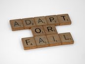 adaptability