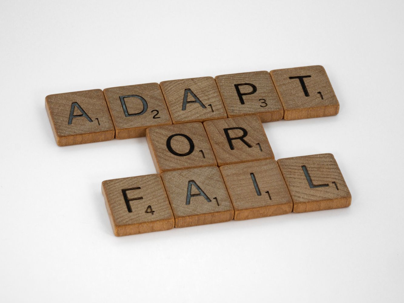 Adaptability Photos, Download The BEST Free Adaptability Stock Photos ...