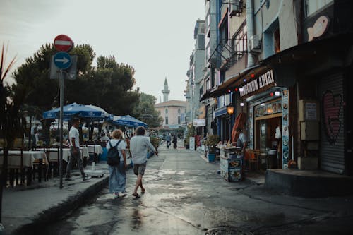 Imagine de stoc gratuită din arbori, caldarâm, clădiri