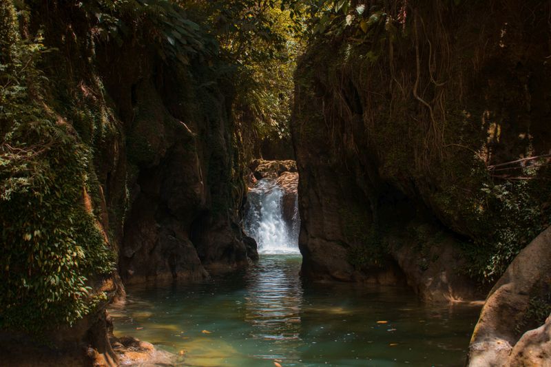 Piscine Naturelle