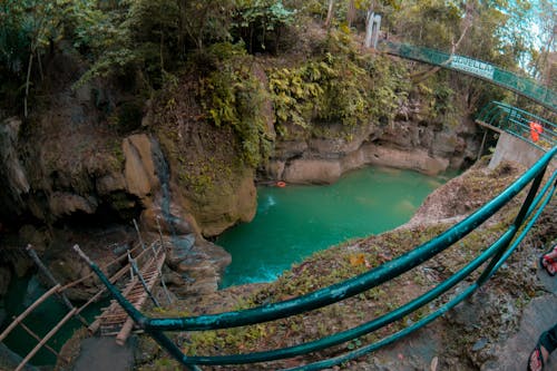 강, 녹색, 다리의 무료 스톡 사진