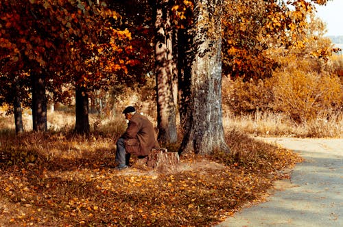 A Man Sitting in a Forest