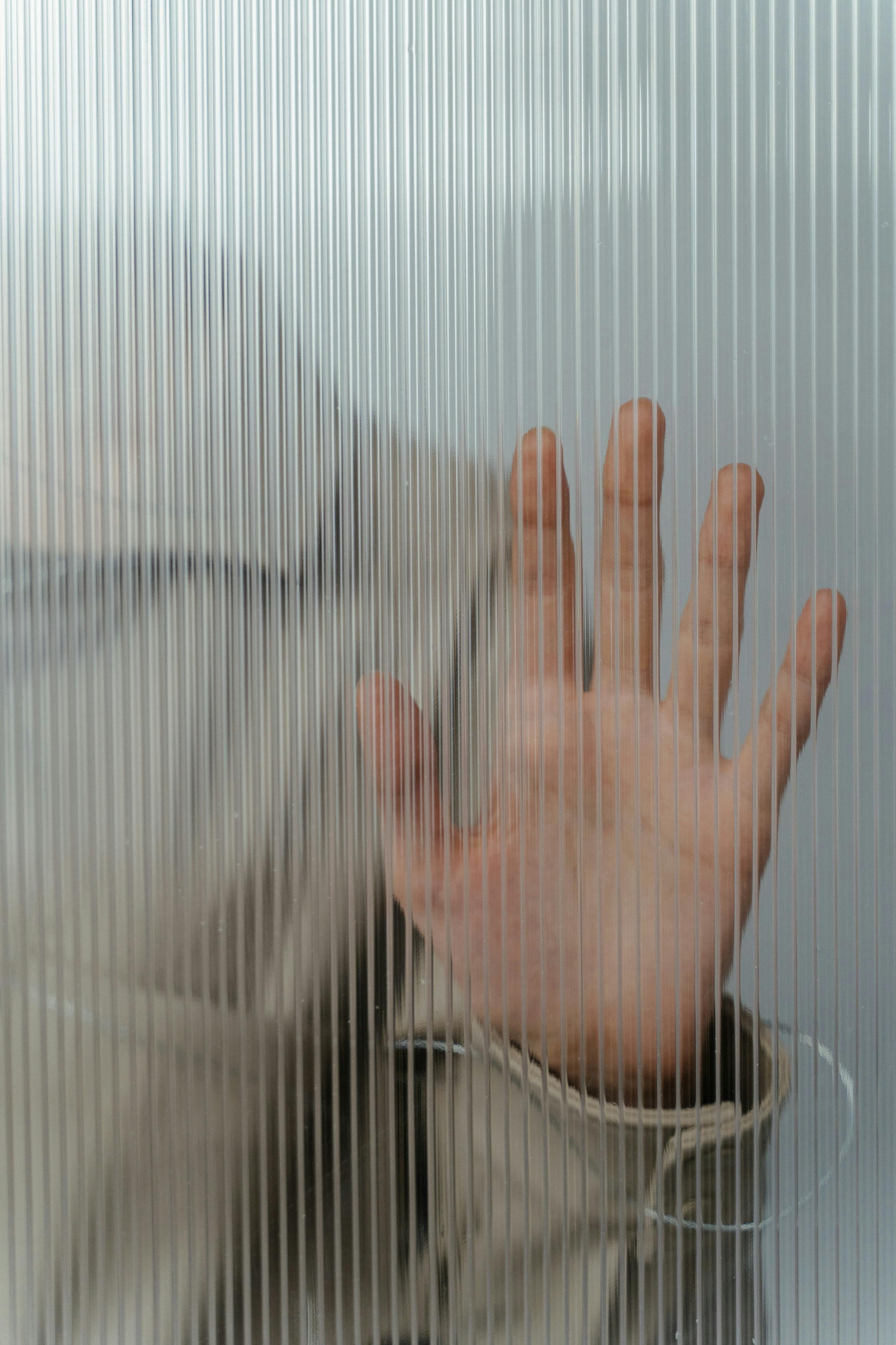 frosted glass frosted glass