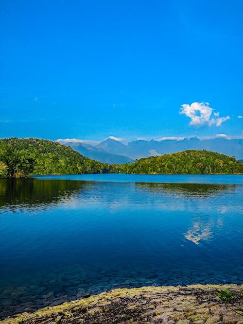 Free stock photo of kerala, landscape, nature