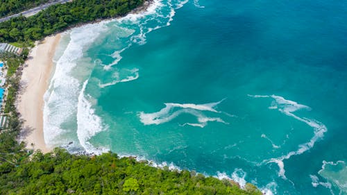 Free An Aerial Photography of a Beach Surrounded with Green Trees Stock Photo